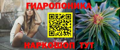 jwh Славгород