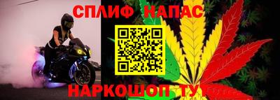 jwh Славгород