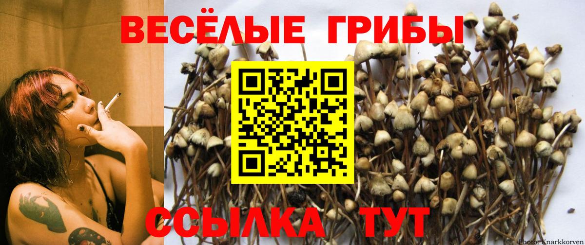 закладки  Галлюциногенные грибы мицелий  Вход с VPN  Саратов  Псилоцибиновые грибы MAGIC MUSHROOMS 